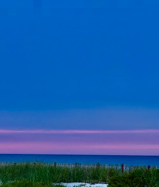 A scenic landscape photograph of a beach dune at dusk, featuring a vibrant blue sky with a horizontal band of pink and purple near the horizon, above a calm ocean and green beach grass.