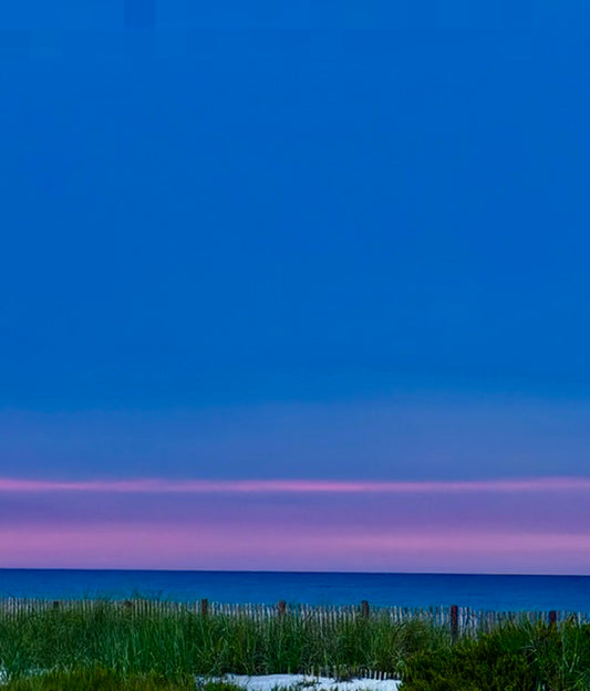 A scenic landscape photograph of a beach dune at dusk, featuring a vibrant blue sky with a horizontal band of pink and purple near the horizon, above a calm ocean and green beach grass.
