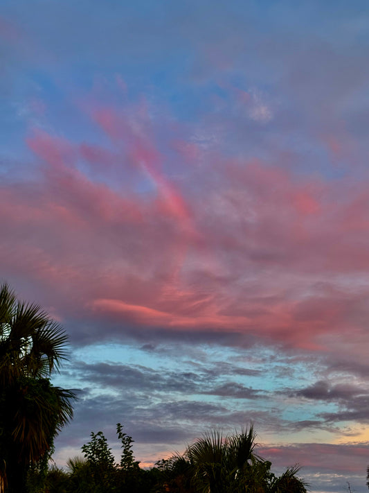 A scenic photograph of a dramatic sunset sky with pink and purple clouds illuminated against a blue sky, with dark palm tree silhouettes along the bottom edge.
