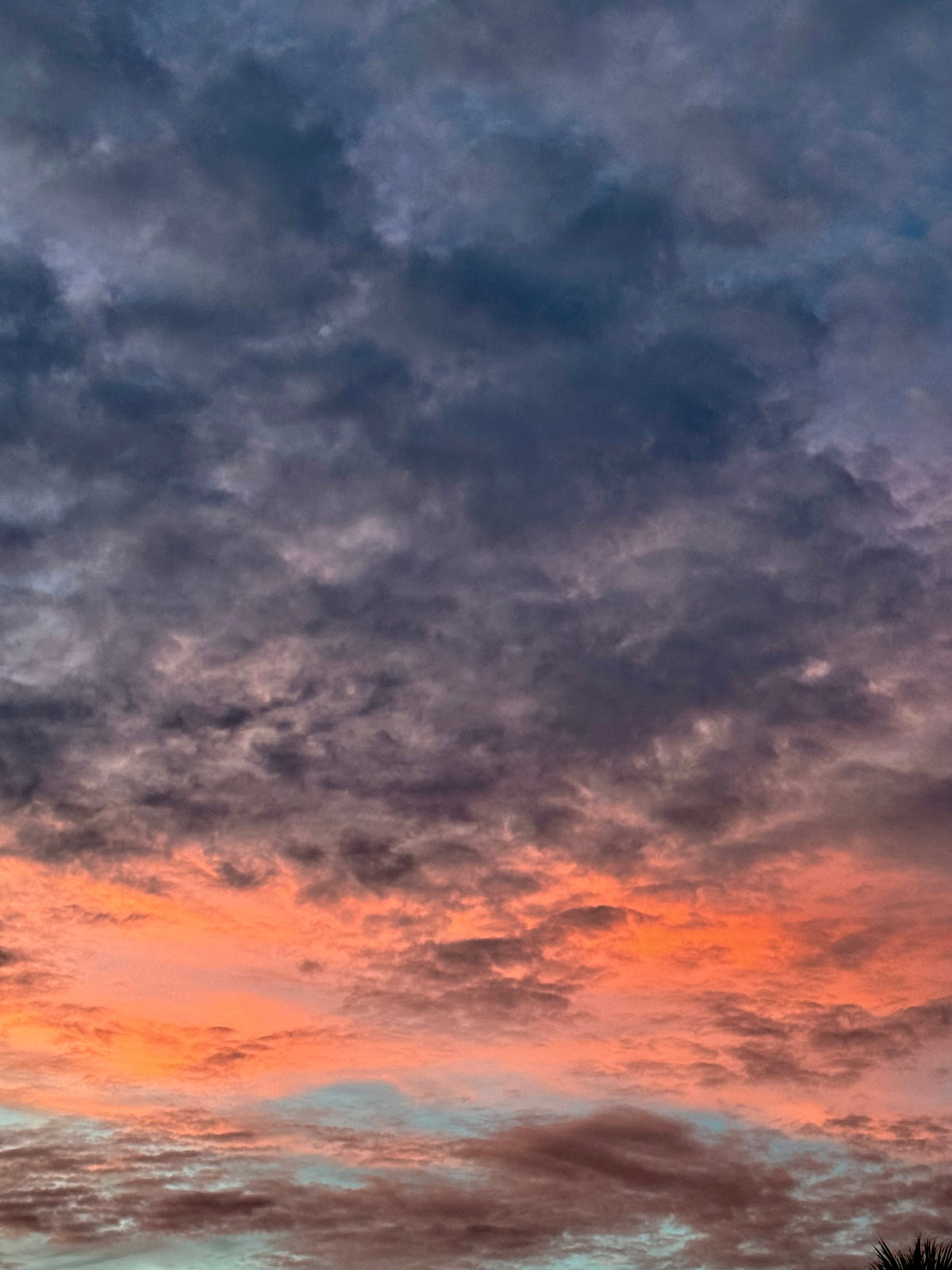 Evening Orange Skies