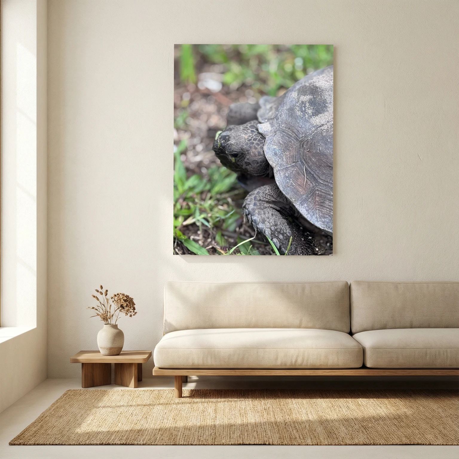 Turtle Vibe 