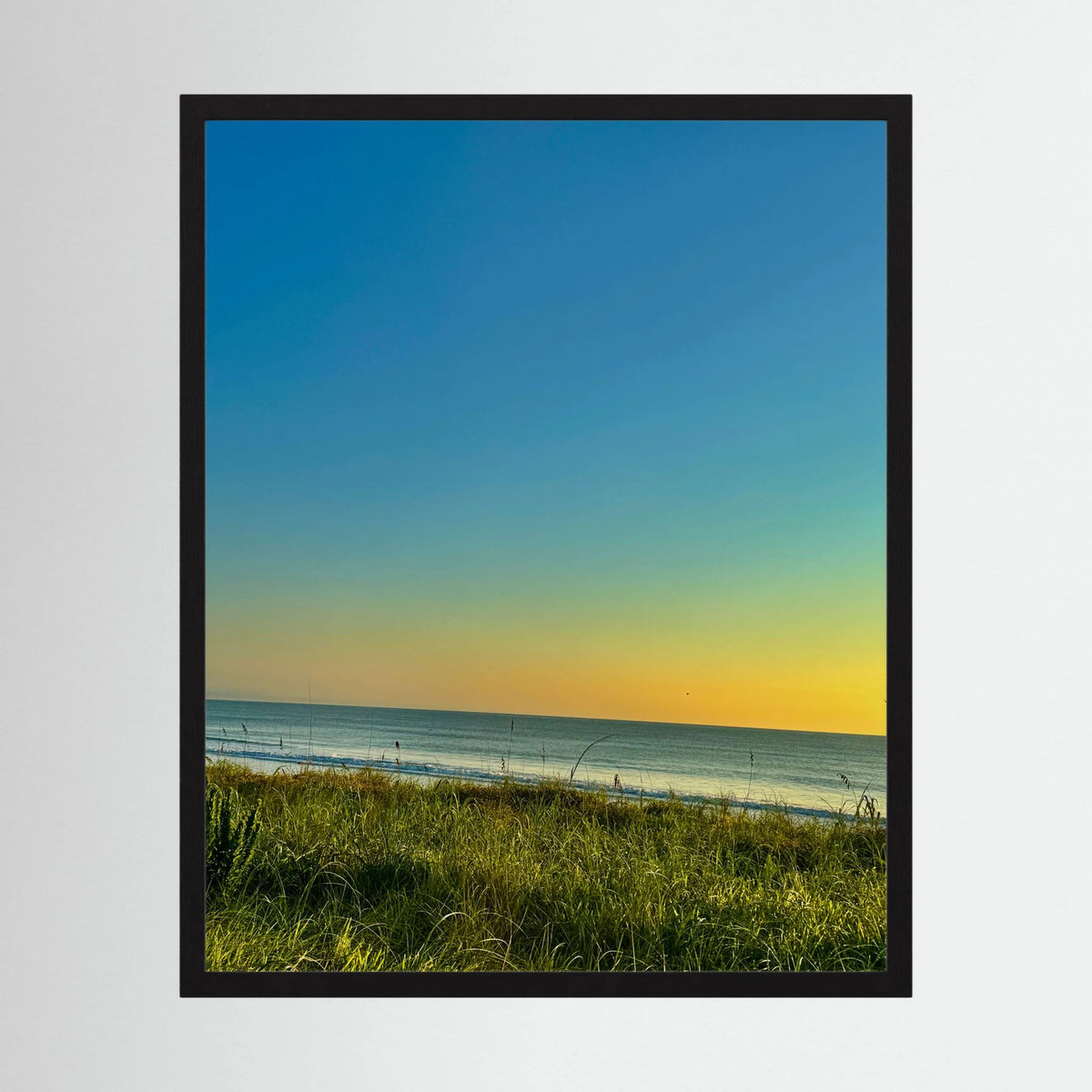 Orange Coast