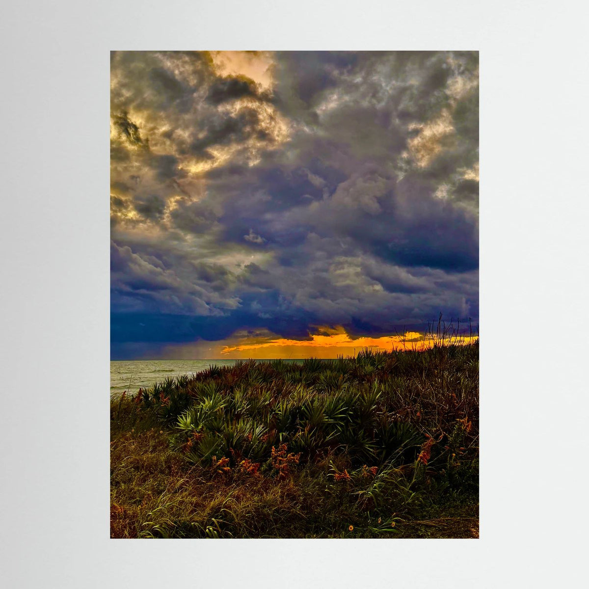Coastal Sunrise