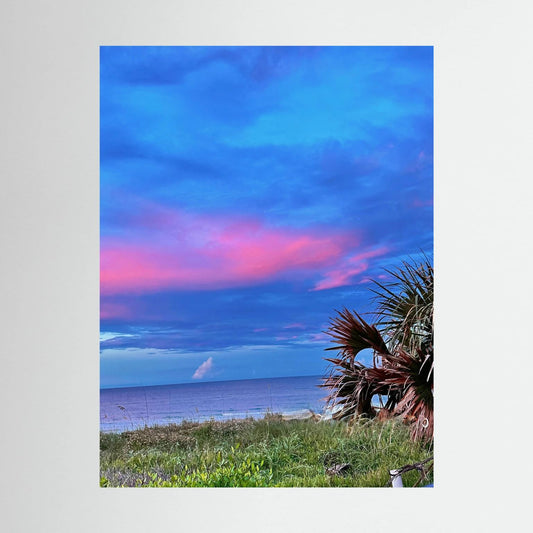Ocean Vibes