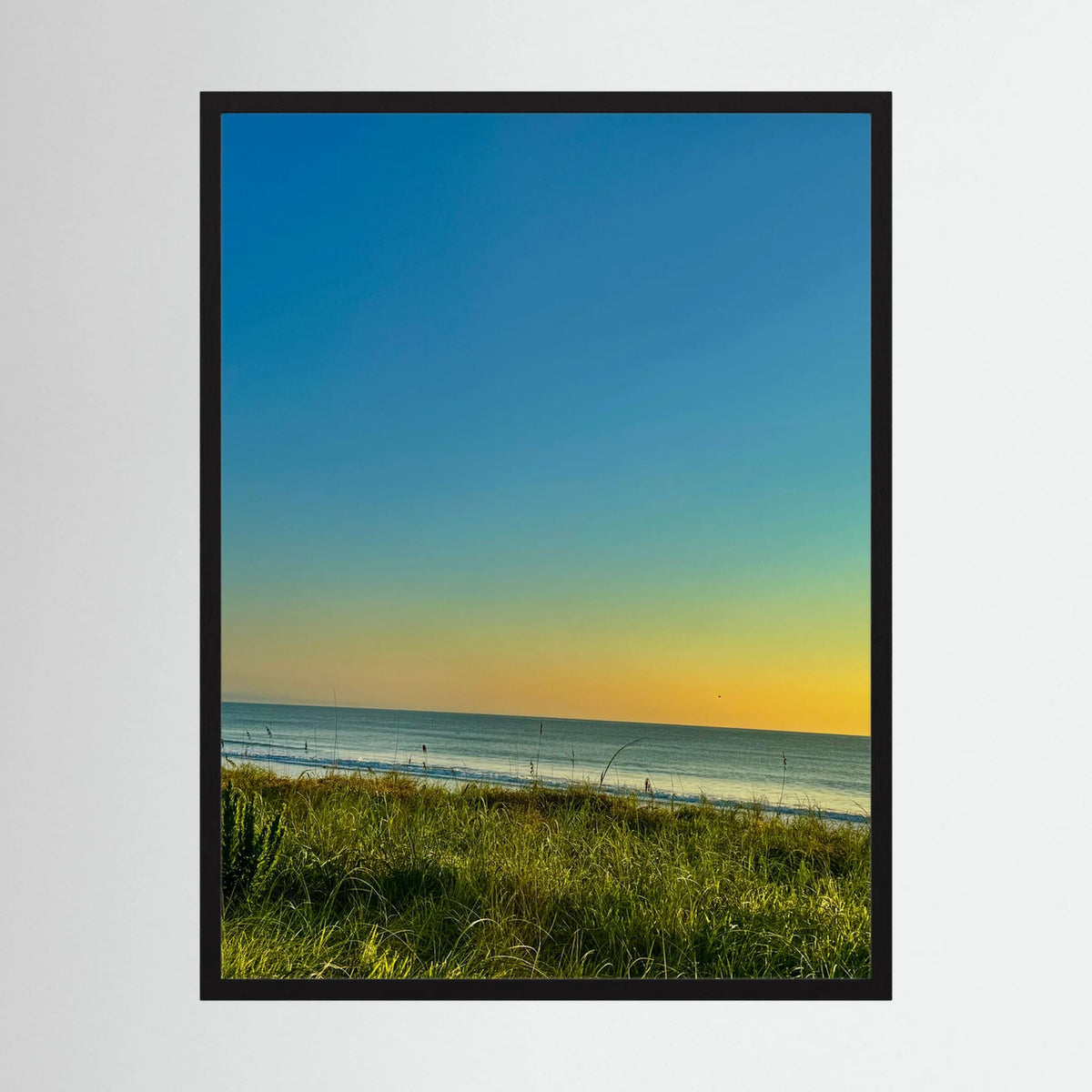 Orange Coast